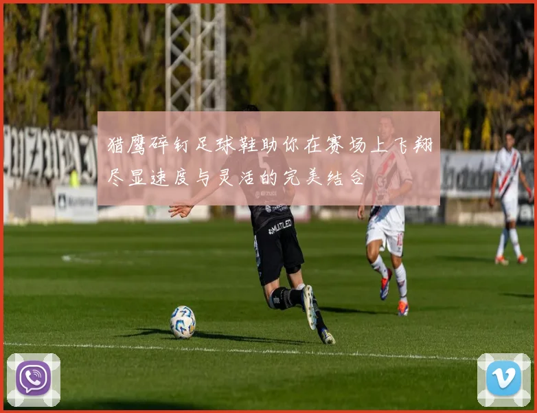 猎鹰碎钉足球鞋助你在赛场上飞翔尽显速度与灵活的完美结合