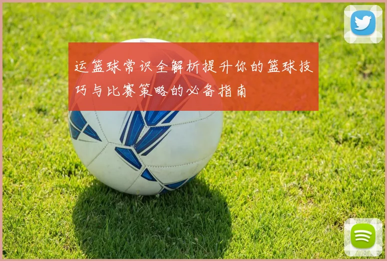 运篮球常识全解析提升你的篮球技巧与比赛策略的必备指南
