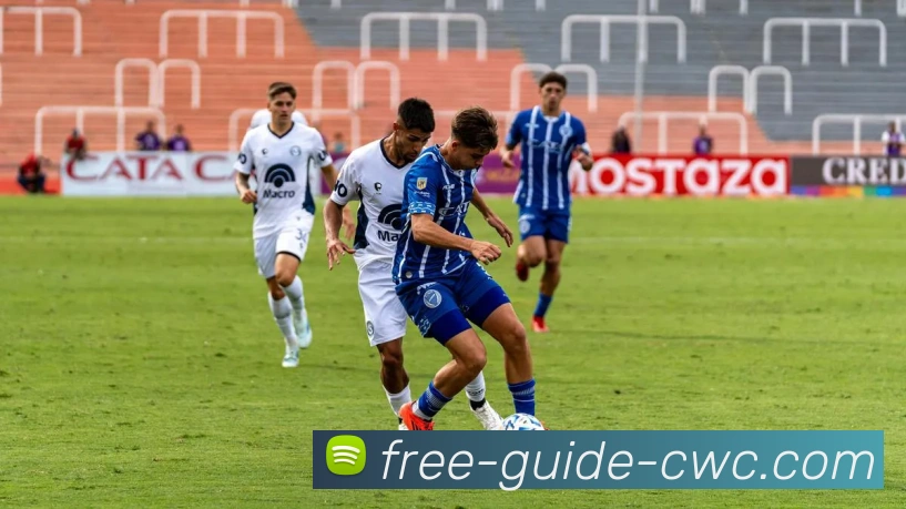 世界杯赛事平台生态图